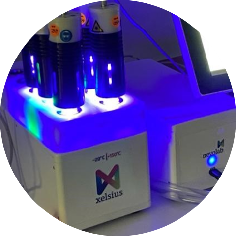 10 different photoreactions paralell with xelsius LumiSynth from 365 nm to 660 nm.