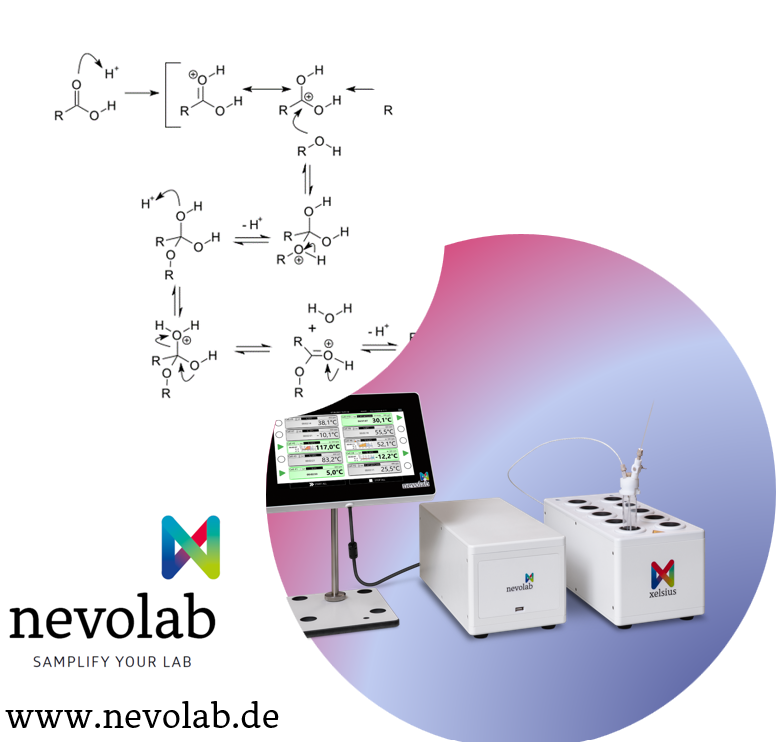 Esterification of Dicarboxylic Acids